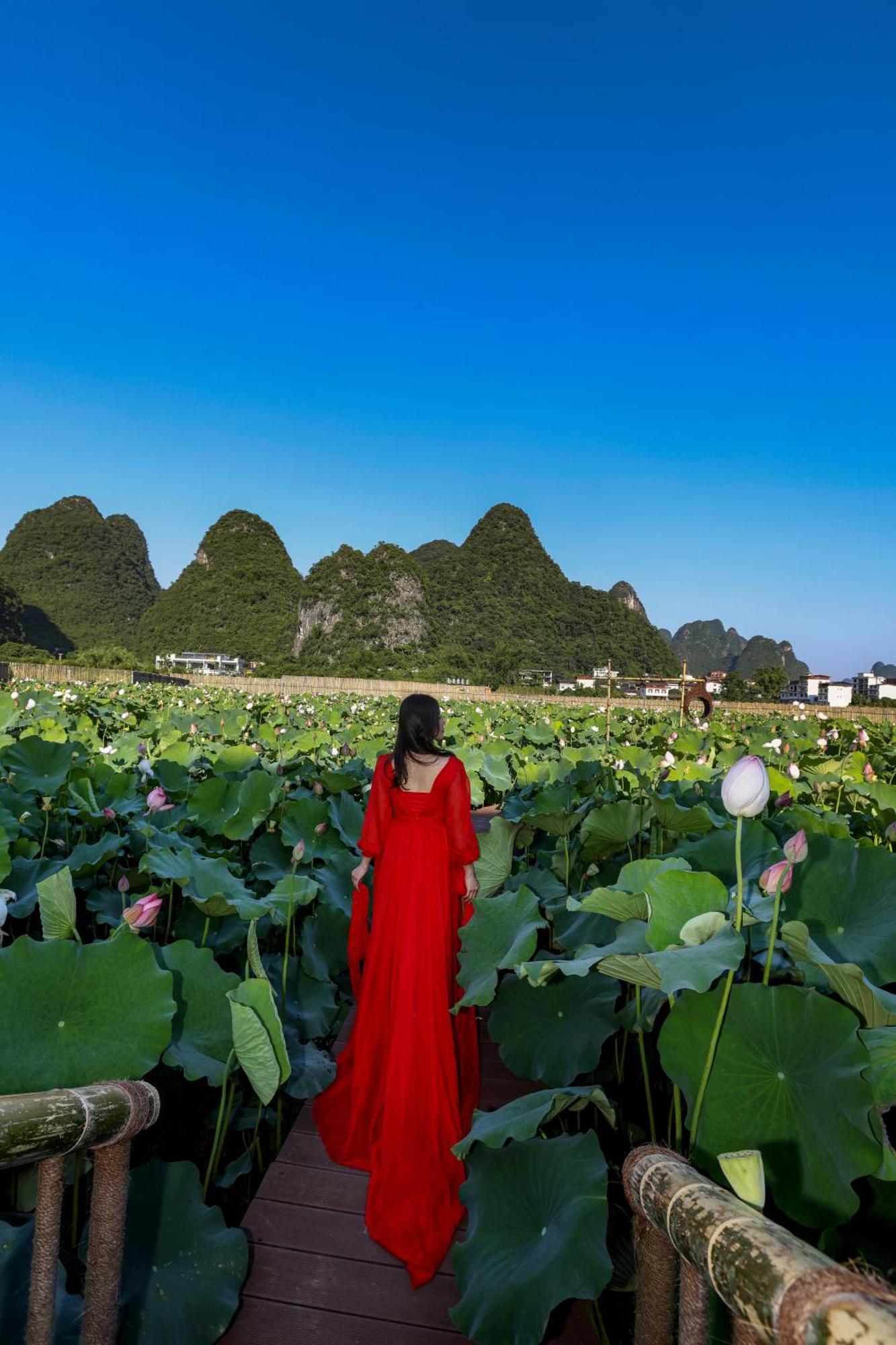 Penzion Yangshuo Tea Cozy--One Way Free Pick Up From Airport Or Ts 4 Nights Exteriér fotografie